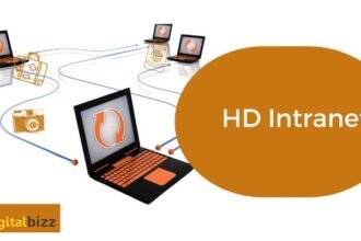 How Can HD Intranet Help Your Company? What Is It?