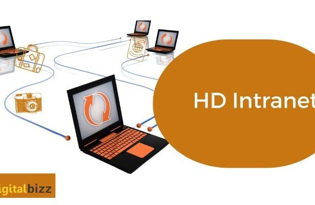 How Can HD Intranet Help Your Company? What Is It?